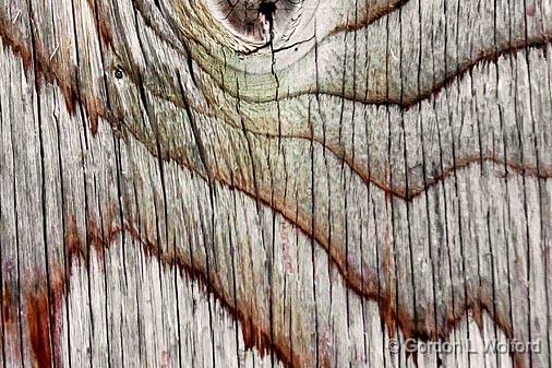 Wood Grain_11033.jpg - Photographed at Smiths Falls, Ontario, Canada.